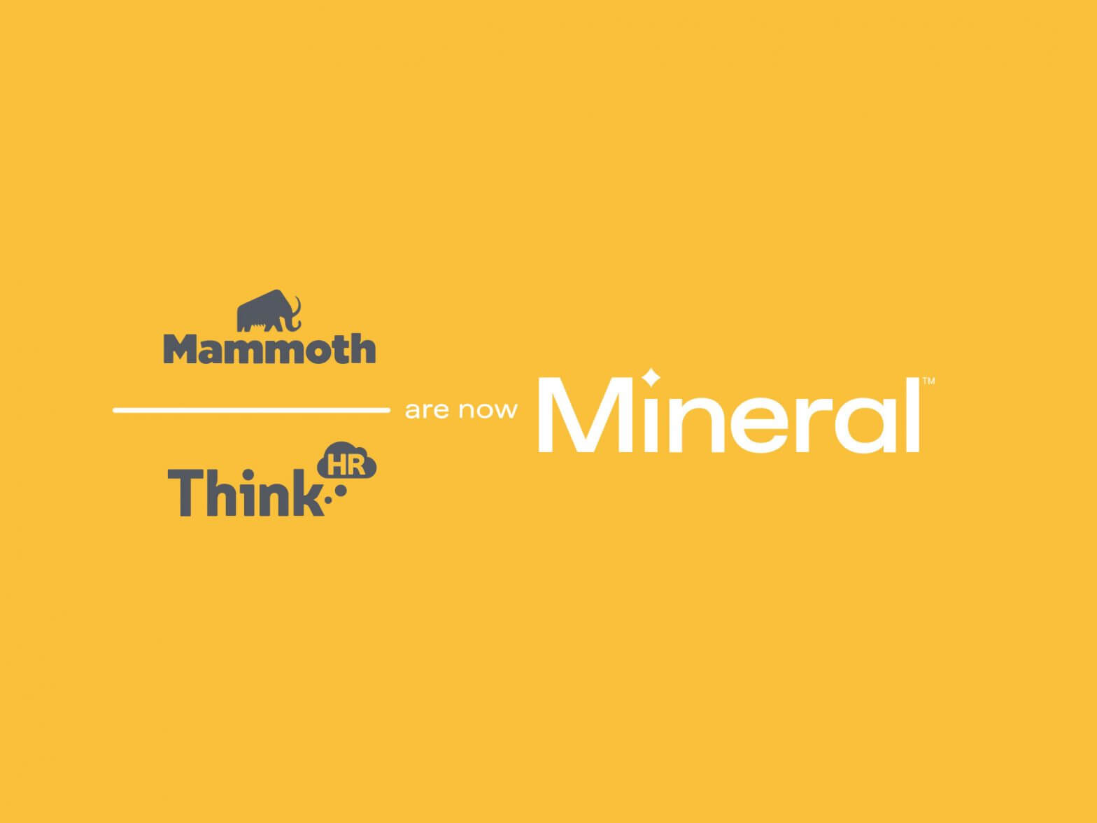 WELCOME TO MINERAL visual data 4