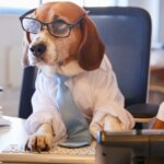 Dogs in the Workplace