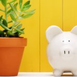 White piggy bank next to a potted succulent plant