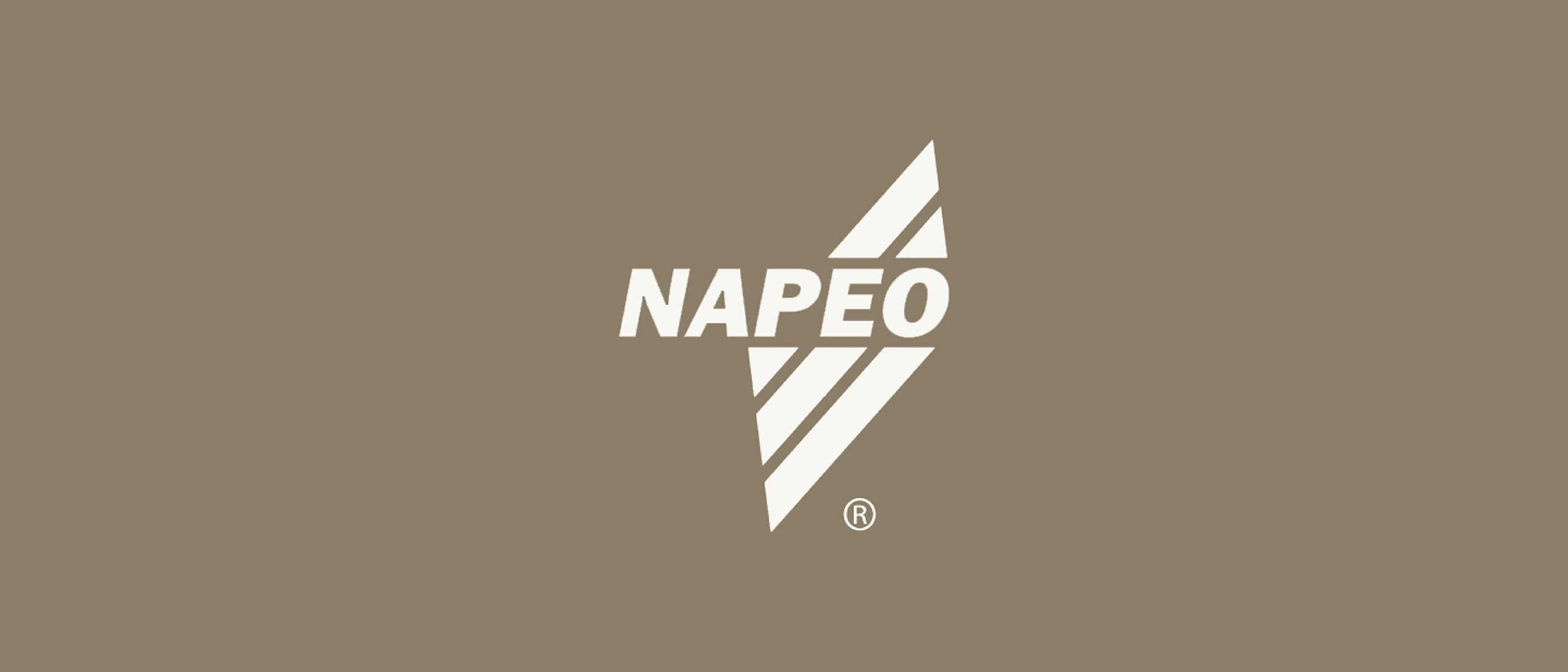NAPEO logo
