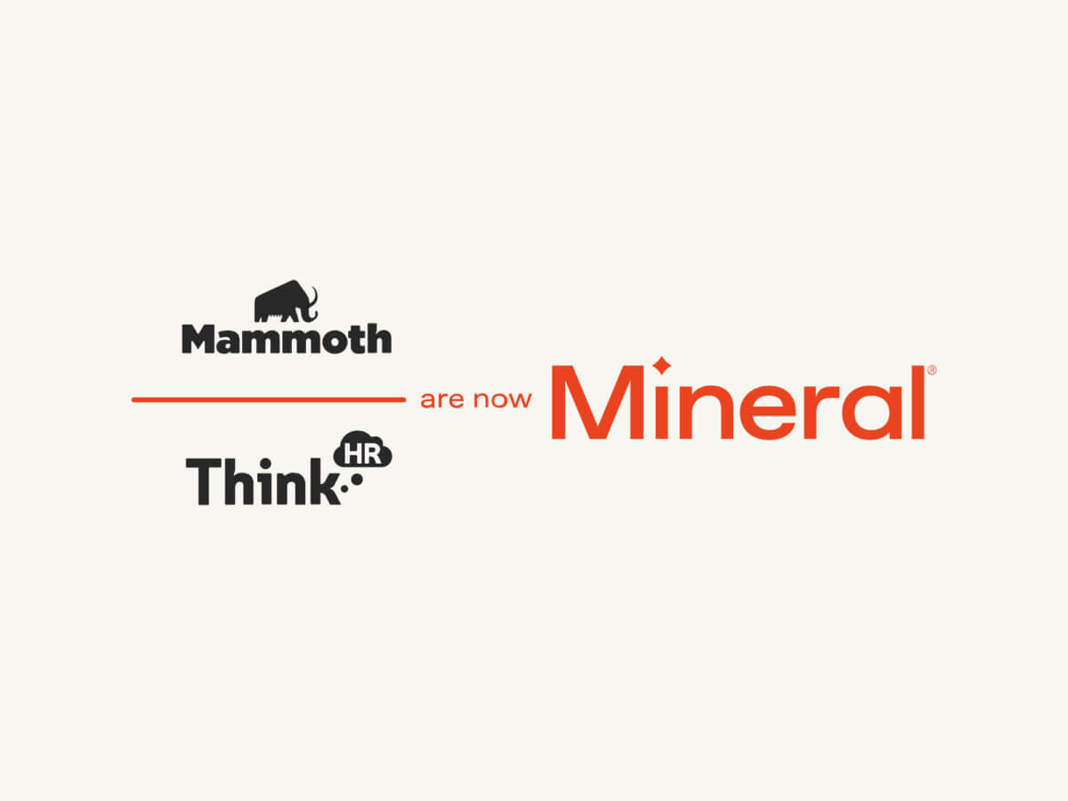 WELCOME TO MINERAL intelligence overview